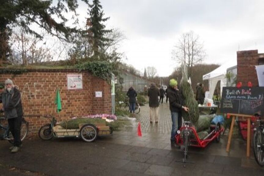 Verkauf von Weihnachtsbäumen, weiter im Vordergrund Lastenrad mit Weihnachtsbaum
