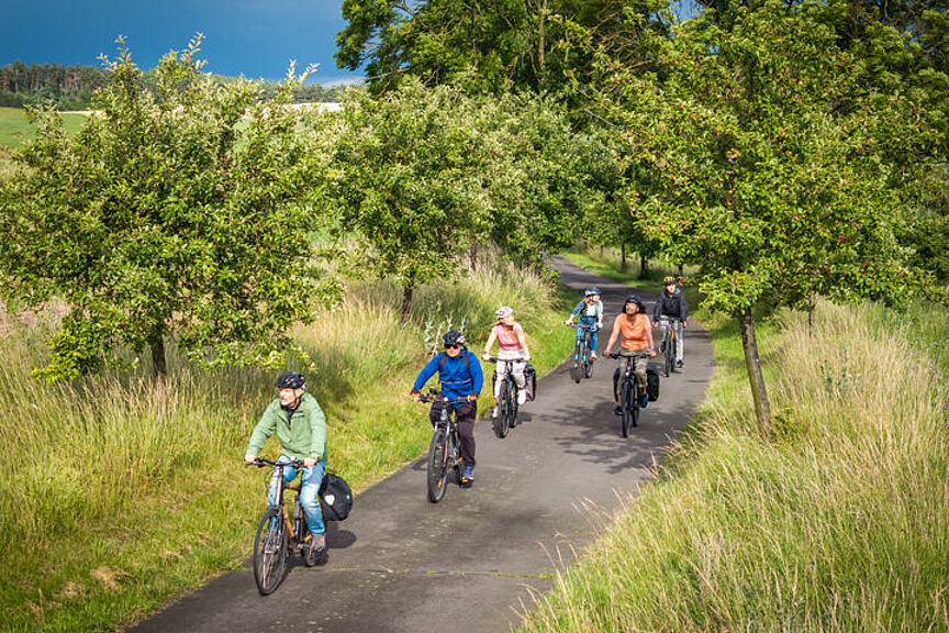 Fahrradfahrende Menschen in Natur