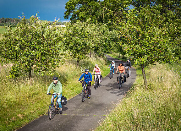 Fahrradfahrende Menschen in Natur