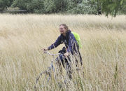 Frau fährt auf Fahrrad durch Getreidefeld