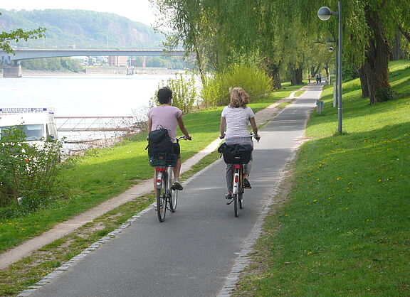 Zwei Radfahrende auf Radweg längs des Rheins in Bonn