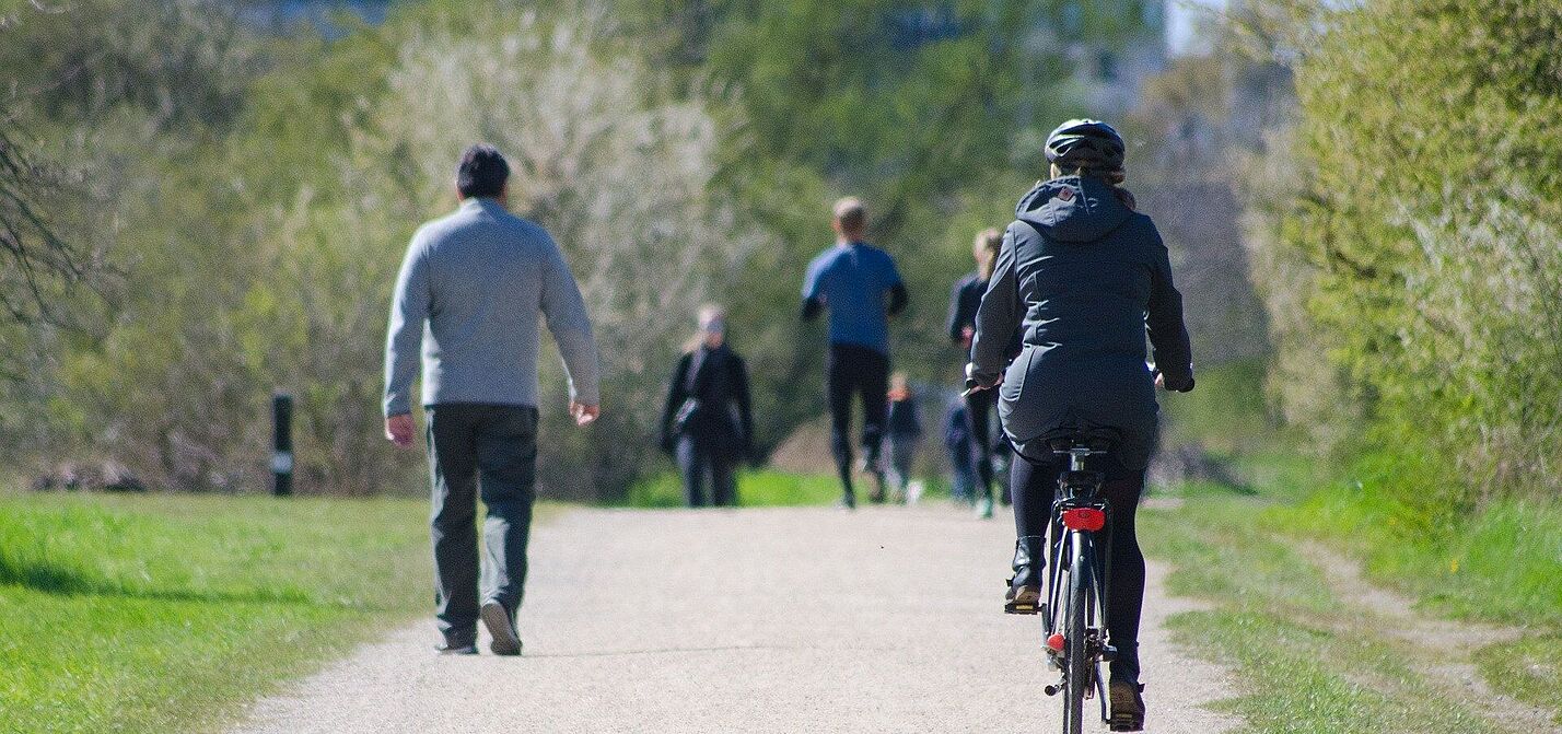 Park, Menschen, Radfahren
