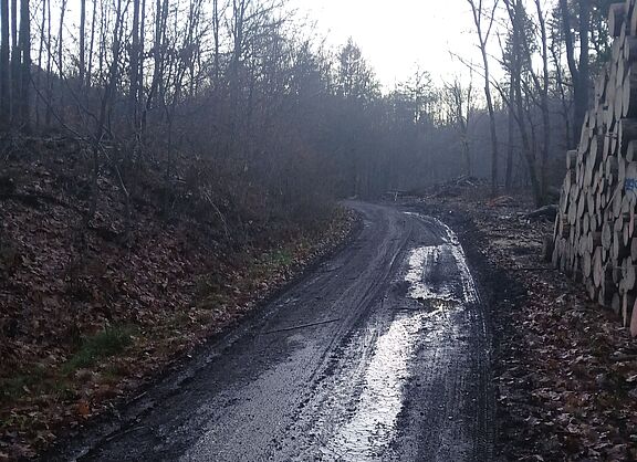 Bild des Mucherwiesenweg mit großen Pfützen