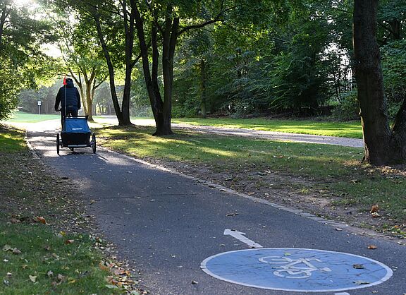 Fahrradfahrer mit Kinderanhänger auf schmalem Radweg in der Rheinaue auf Beueler Seite