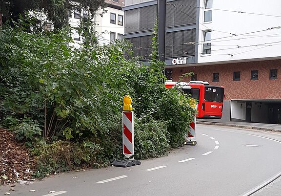 Auf den Fahrradweg wachsende Büsche, Baken verhindern das Fahrradfahren an der Südunterführung  - Bonn